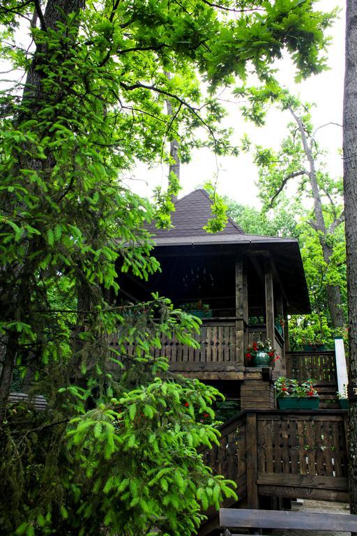 بيتستِ Cornul Vanatorului Bungalows المظهر الخارجي الصورة